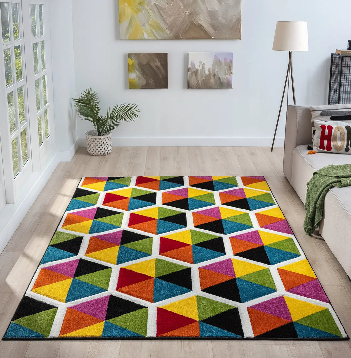 Hummingbird Rainbow Geometric Rug