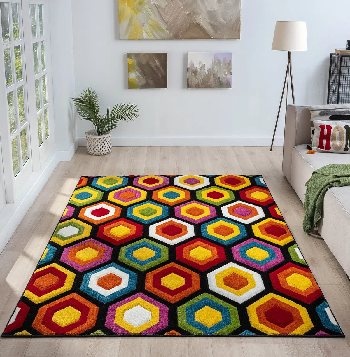 Macaw Rainbow Hexagon Rug