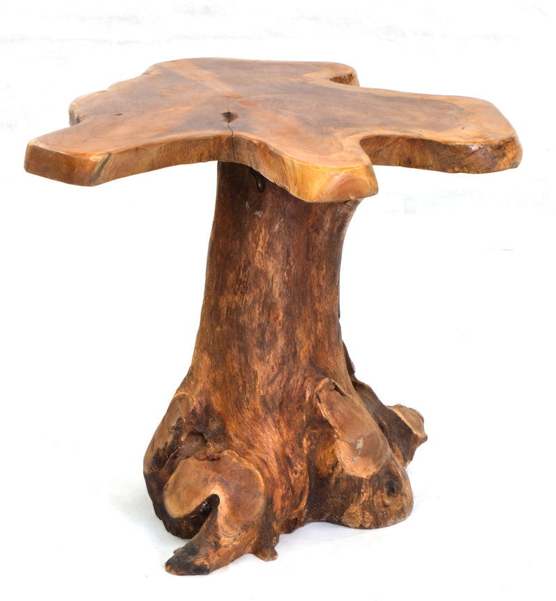 Tree Root Lamp Table