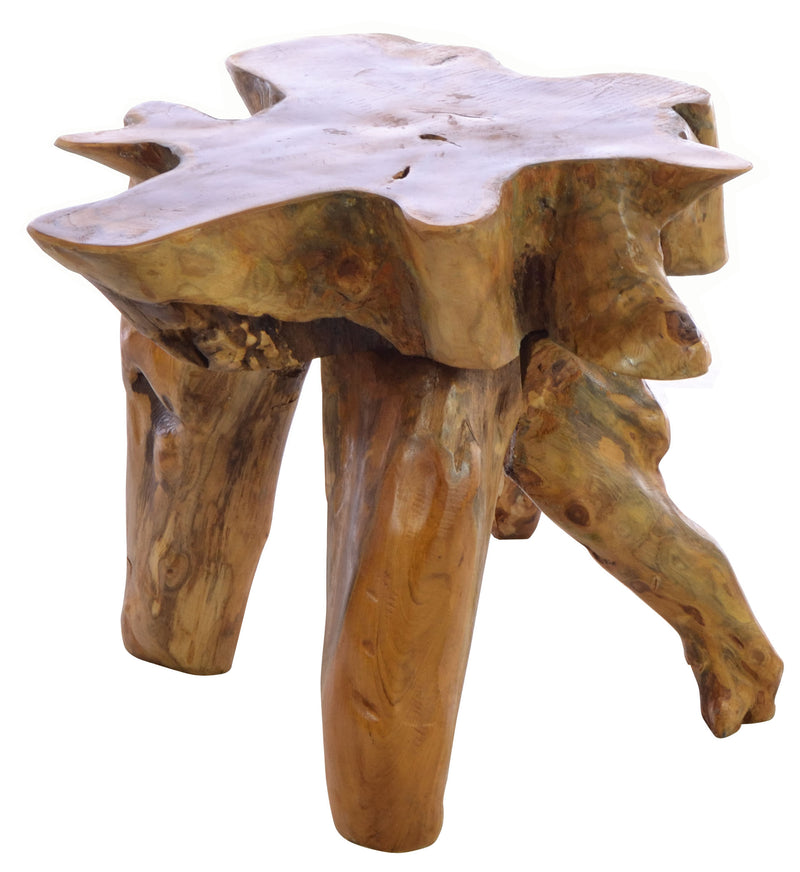 Small Tree Root Coffee Table